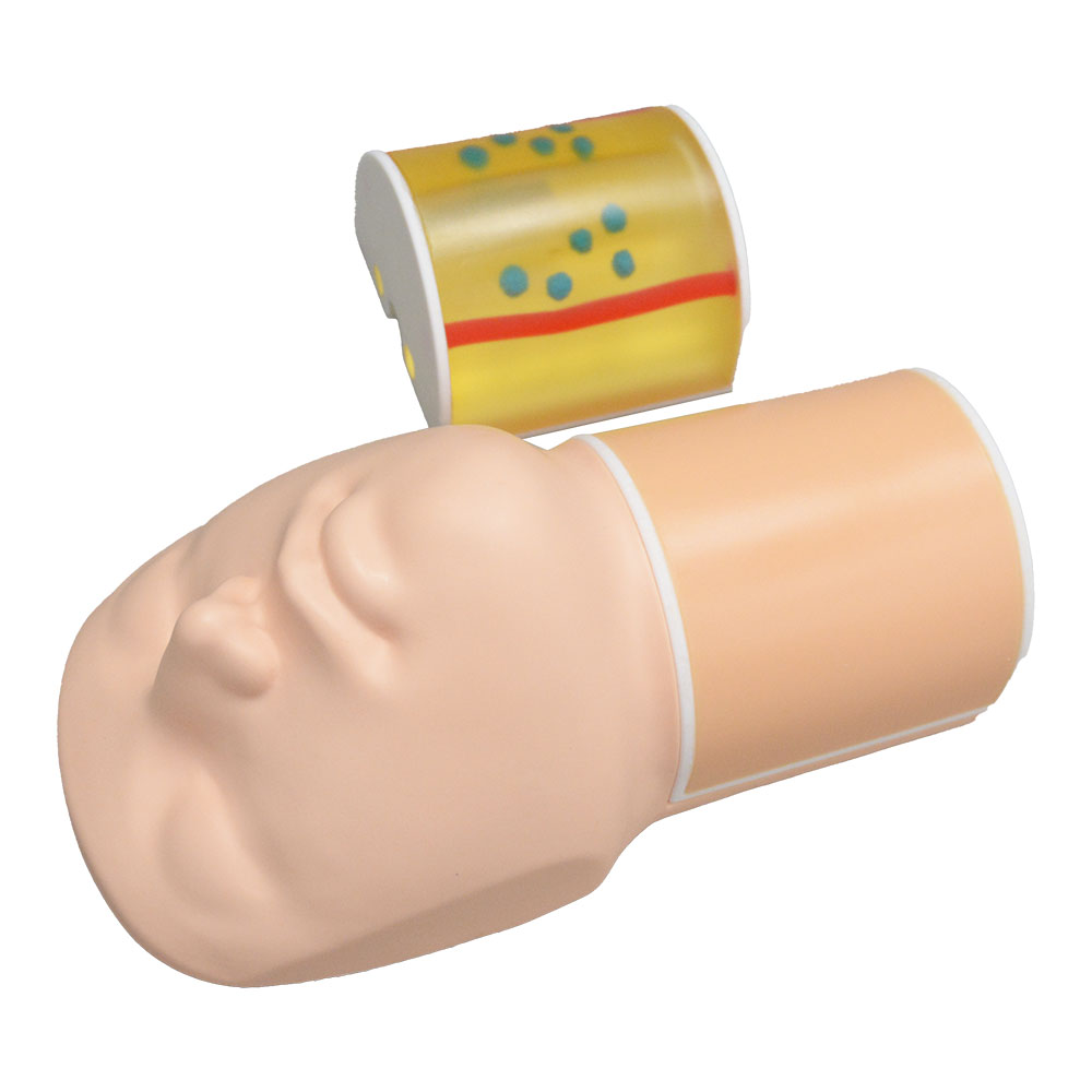 超音波ガイド下生検ファントム