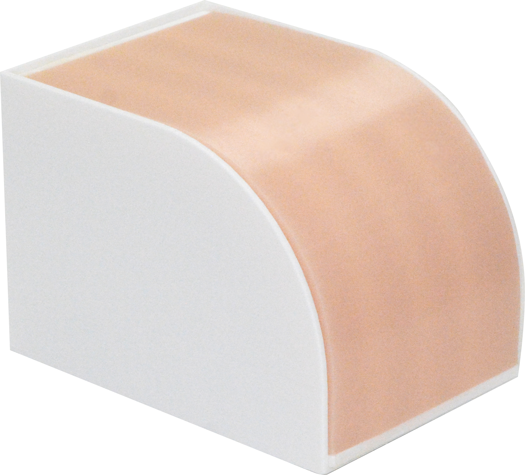 超音波ガイド下生検ファントム