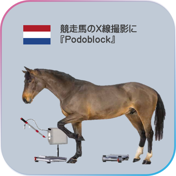 動物用X線撮影補助具『Podoblock』