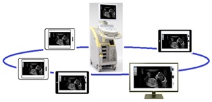 医用画像リアルタイム共有システム