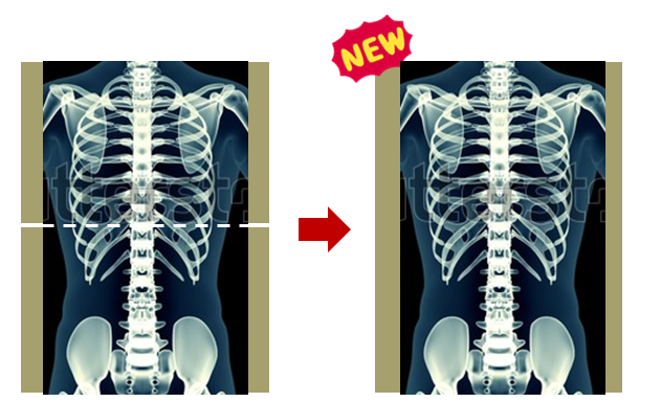 JPI中尺・長尺グリッド